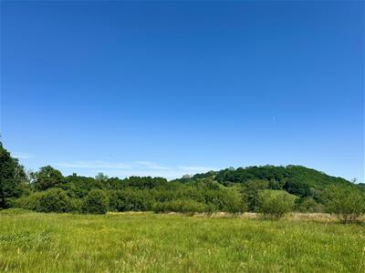 The Land